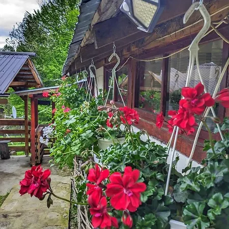 „stana Din Deal” Holiday home *