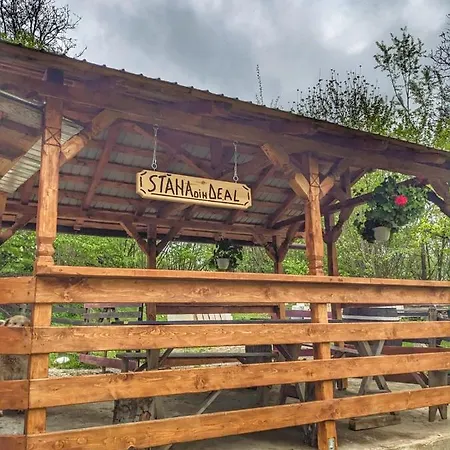 „stana Din Deal” Holiday home