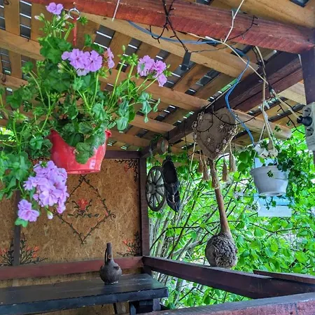 Holiday home „stana Din Deal” *